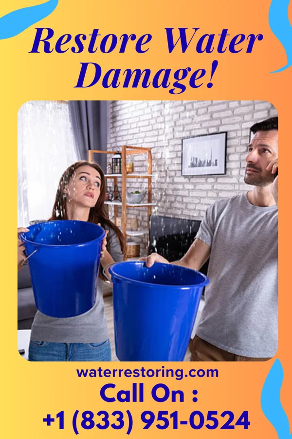 water restoration Classic Cleanup Team Seward