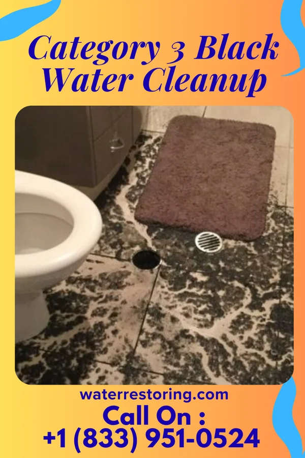 Category 3 Black Water Cleanup in Seward, PA