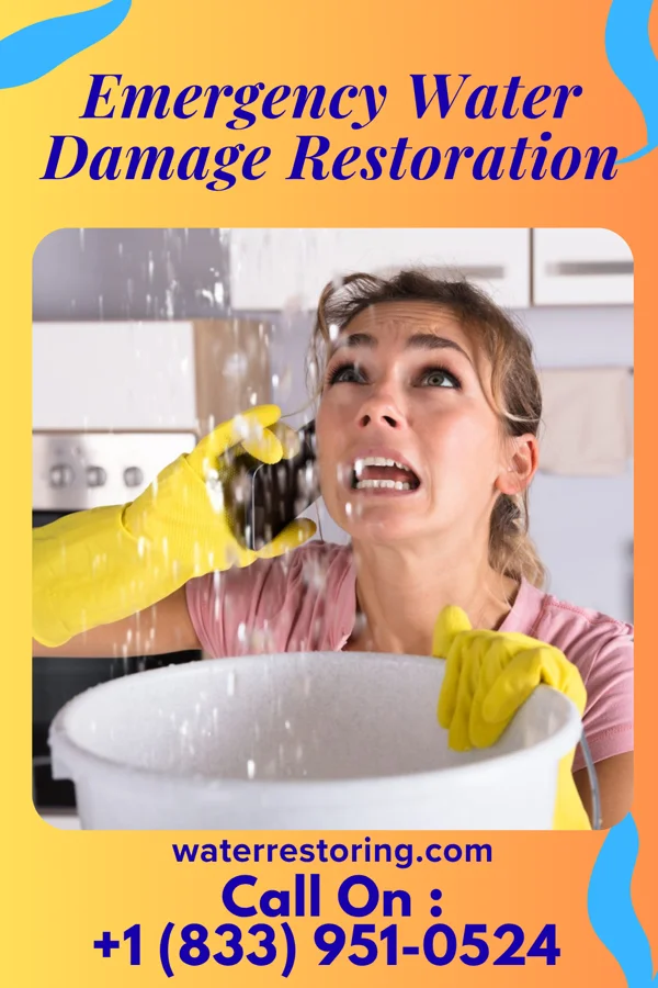 Emergency Water Damage Restoration in Seward, PA