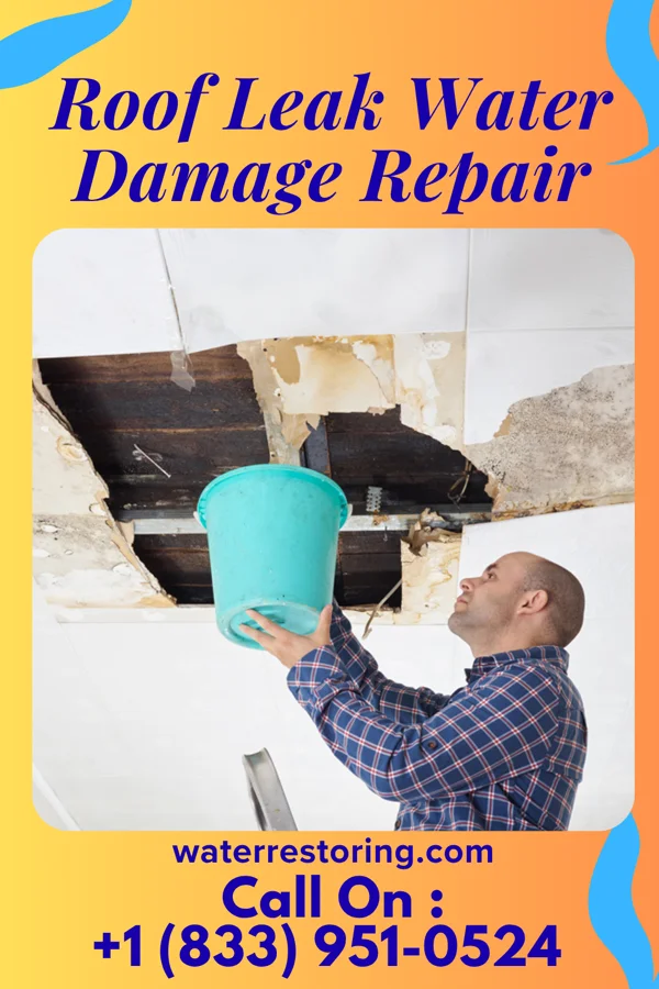 Roof Leak Water Damage Repair in Seward, PA
