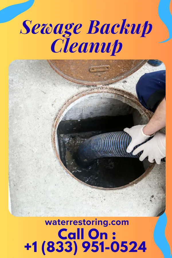 Sewage Backup Cleanup in Seward, PA