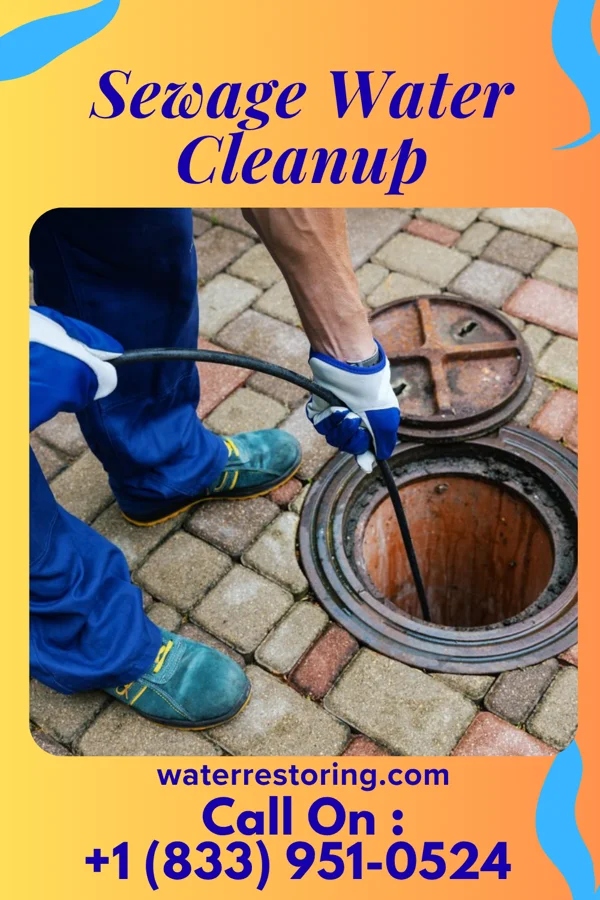 Sewage Water Cleanup in Seward, PA